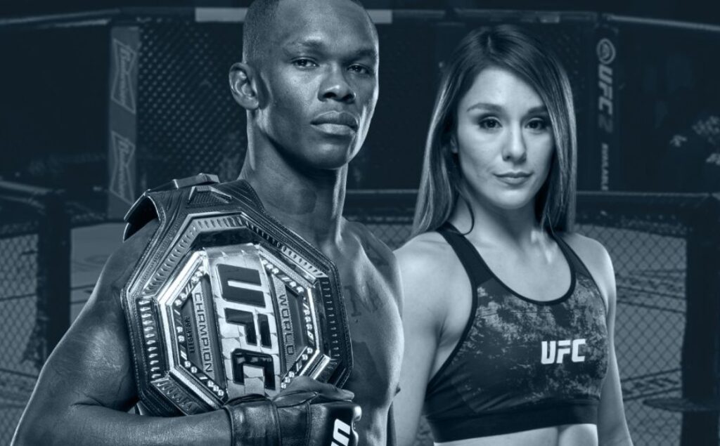 ステークカジノのスポンサー世界最高峰の格闘技団体『UFC』