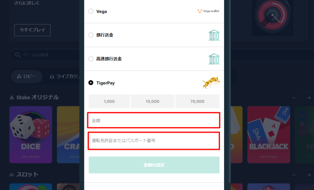 ステークカジノへタイガーペイを使って入金する際に必要情報を入力する様子