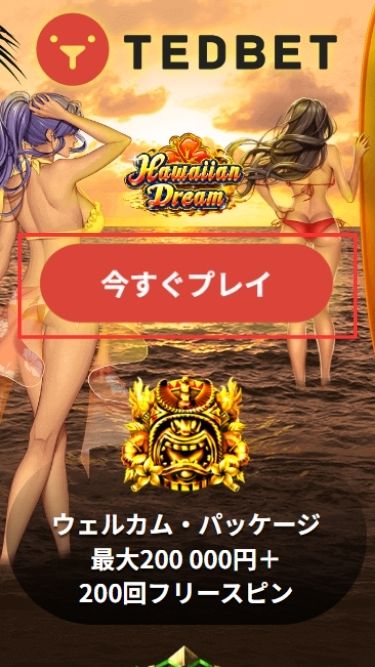 テッドベットカジノの入金不要ボーナスを受け取る際にaccessする様子